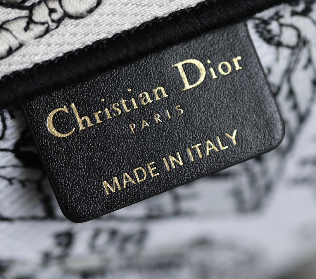 DIOR women's bags 116