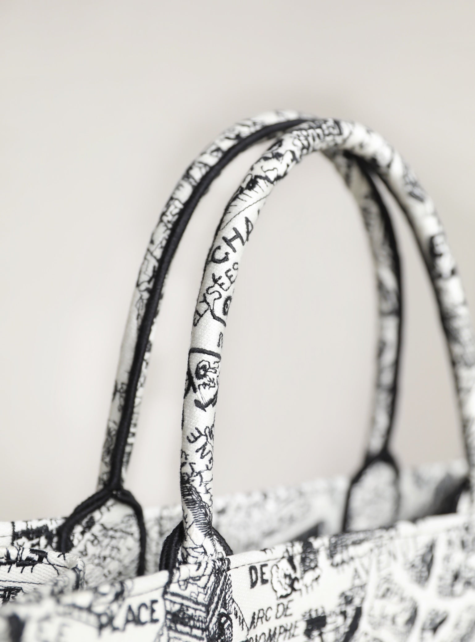 DIOR women's bags 117
