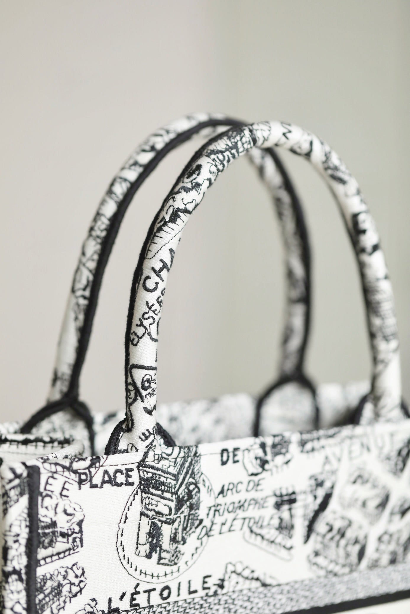 DIOR women's bags 118