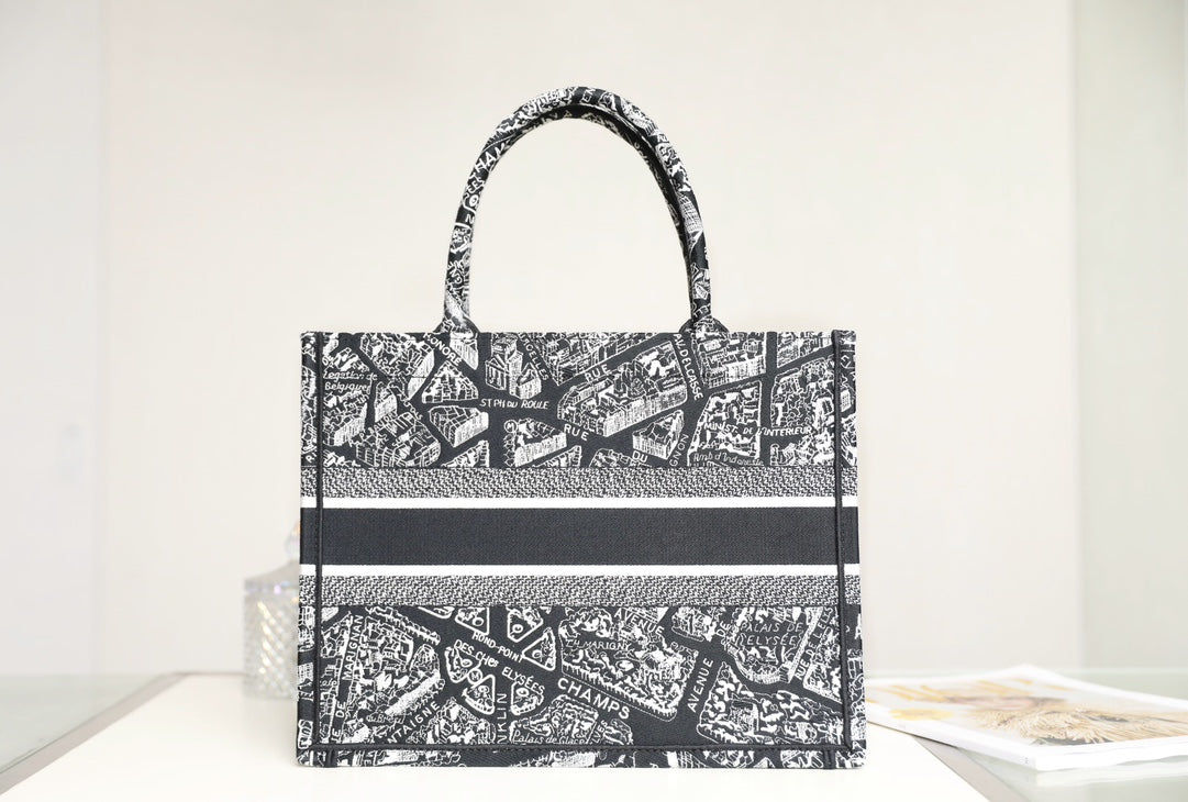 DIOR women's bags 120