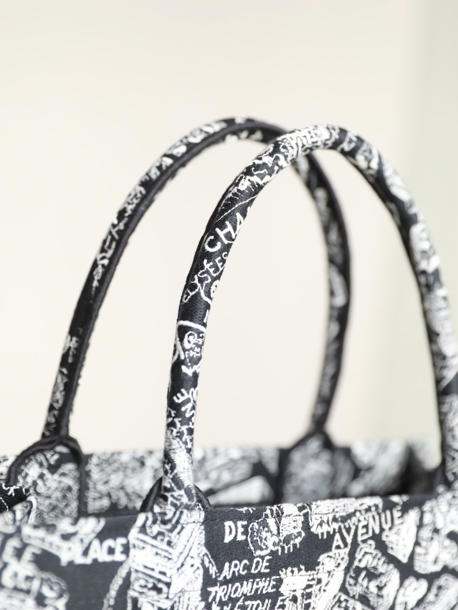 DIOR women's bags 120