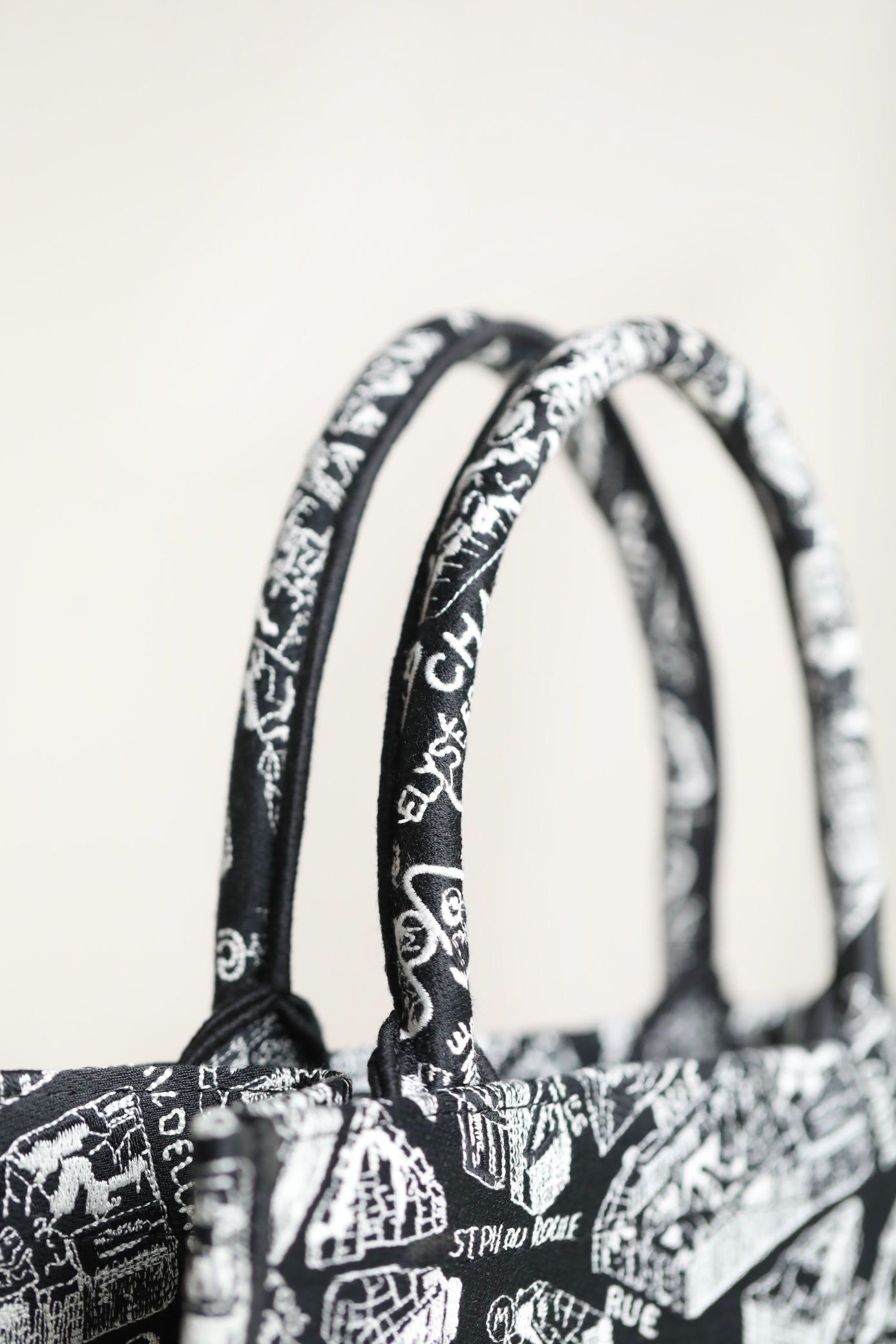 DIOR women's bags 121