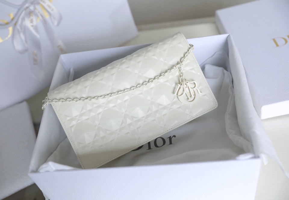 DIOR women's bags 127