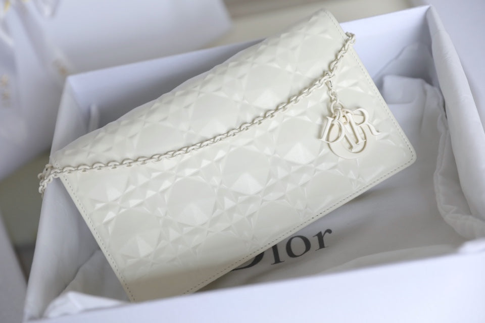 DIOR women's bags 127