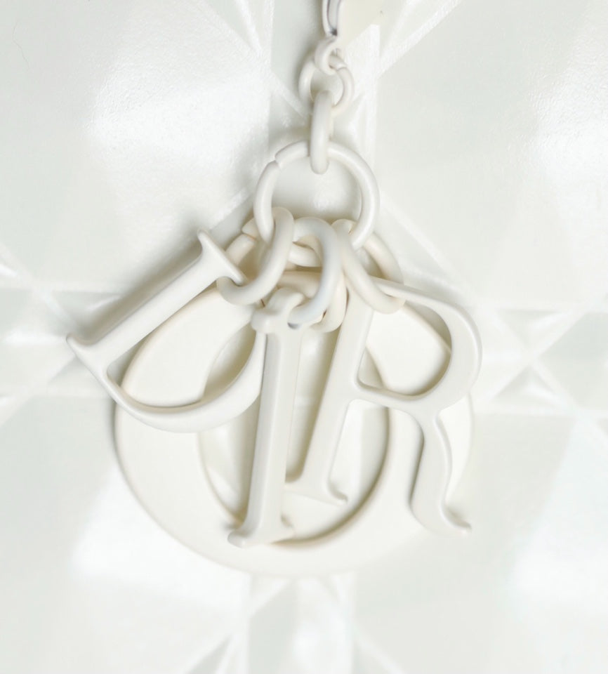 DIOR women's bags 127