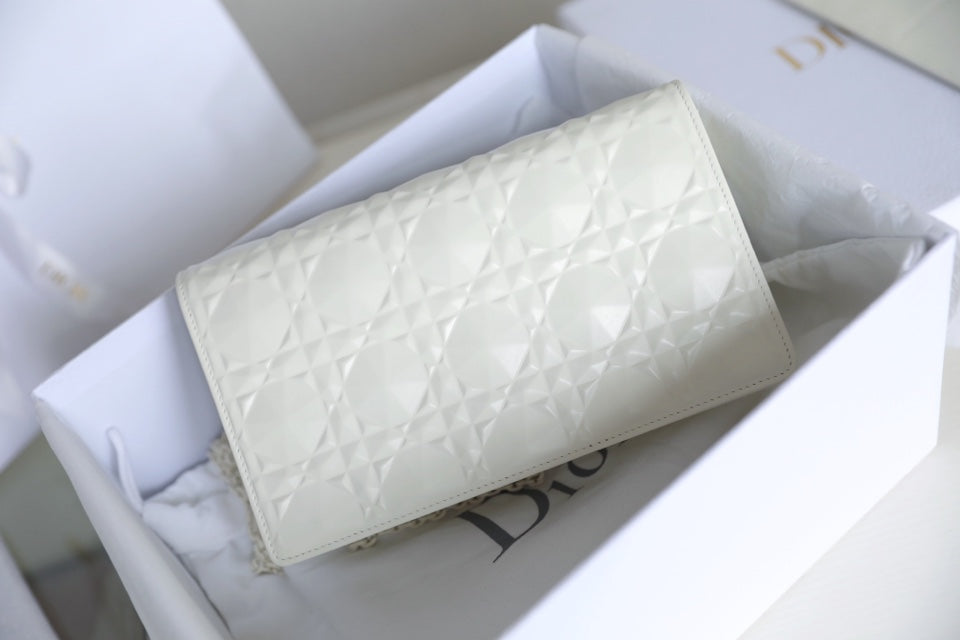 DIOR women's bags 127