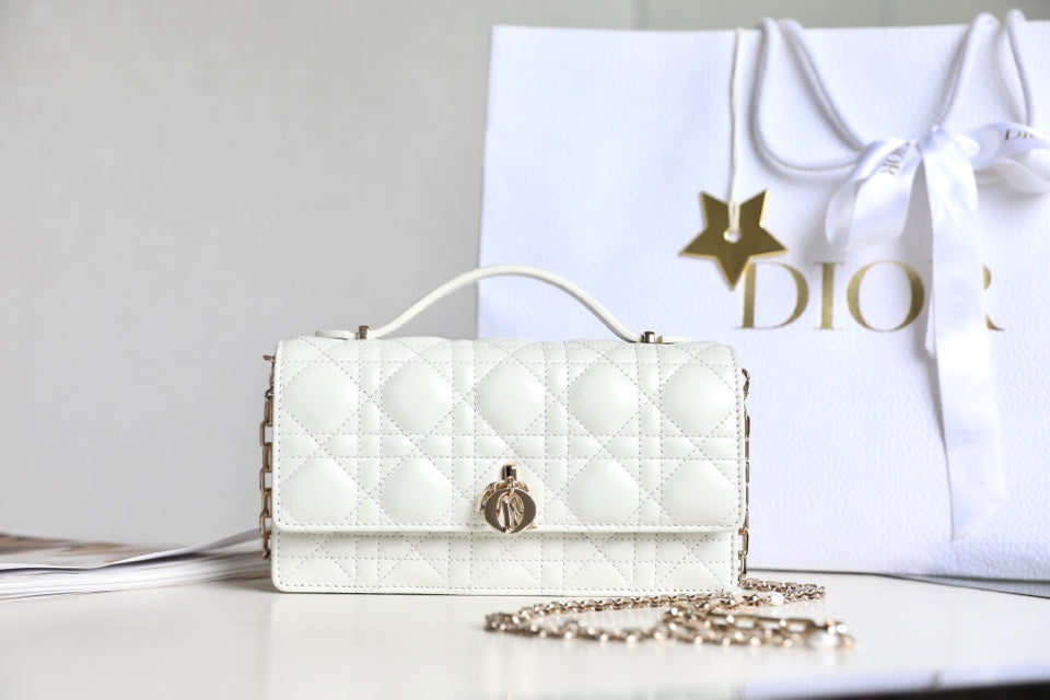 DIOR women's bags 128