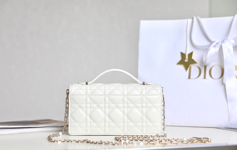 DIOR women's bags 128