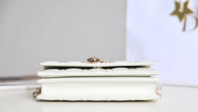 DIOR women's bags 128