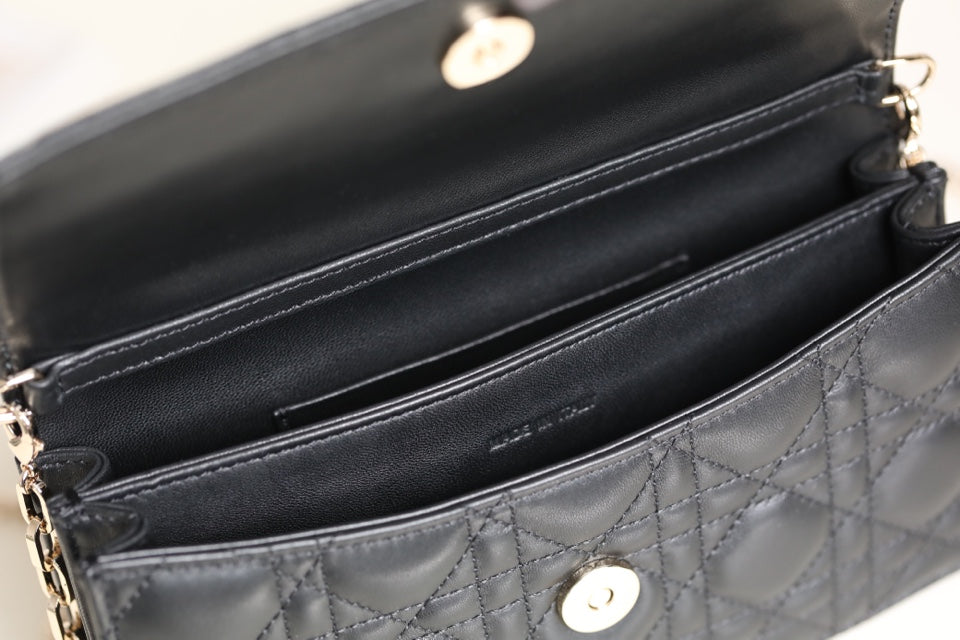 DIOR women's bags 129