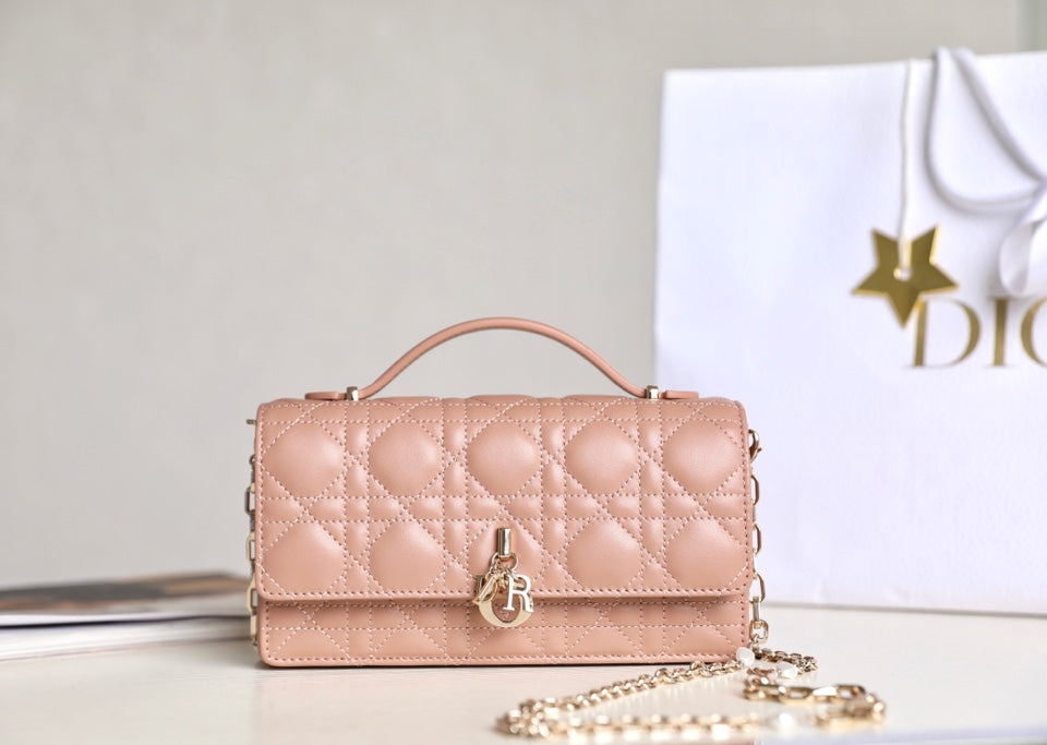 DIOR women's bags 130