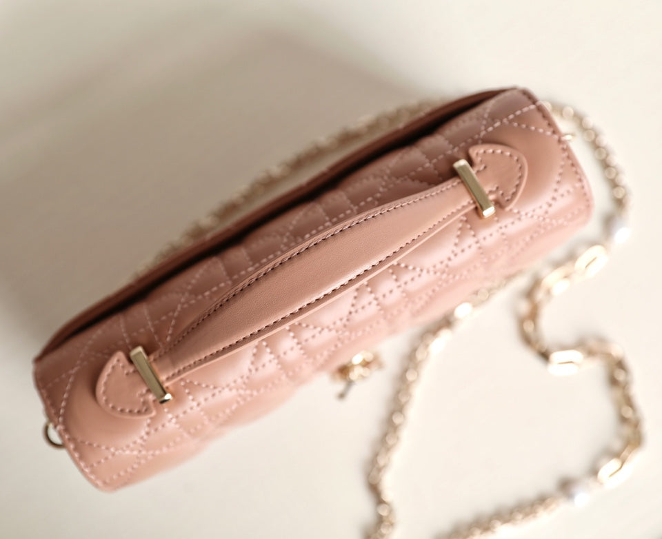 DIOR women's bags 130