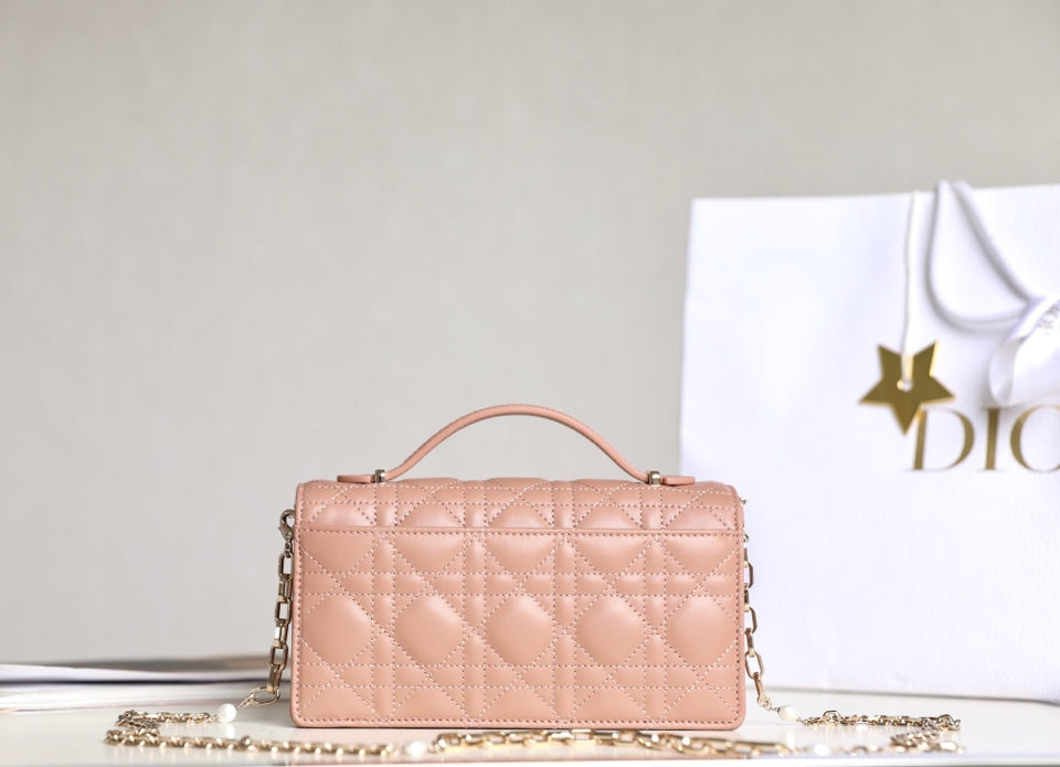 DIOR women's bags 130