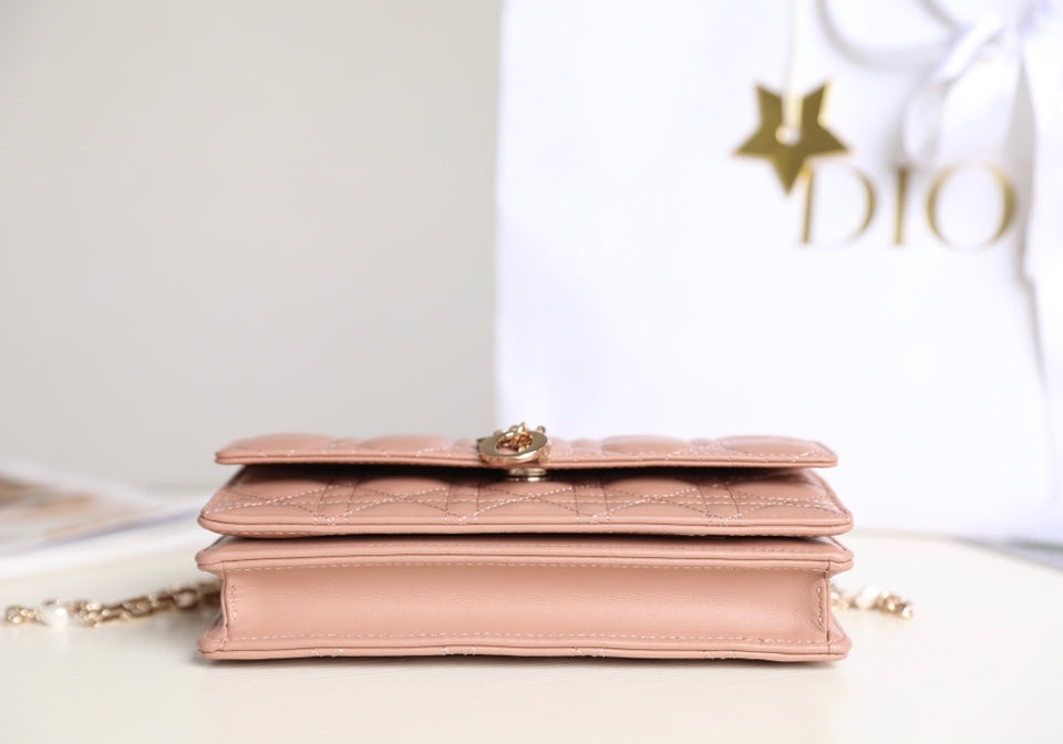 DIOR women's bags 130
