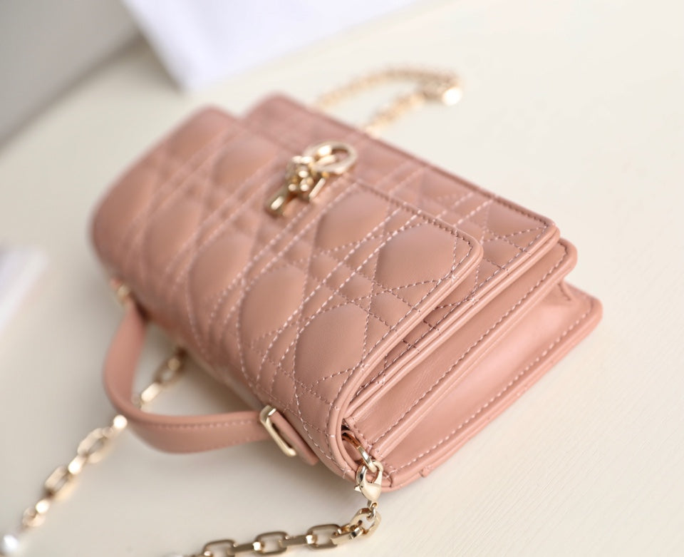 DIOR women's bags 130