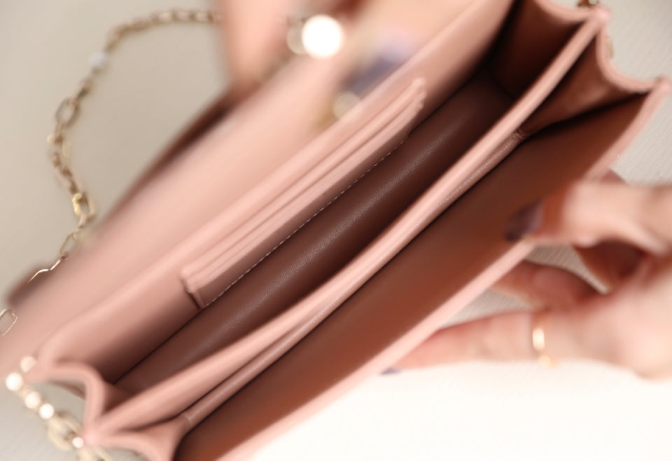 DIOR women's bags 130