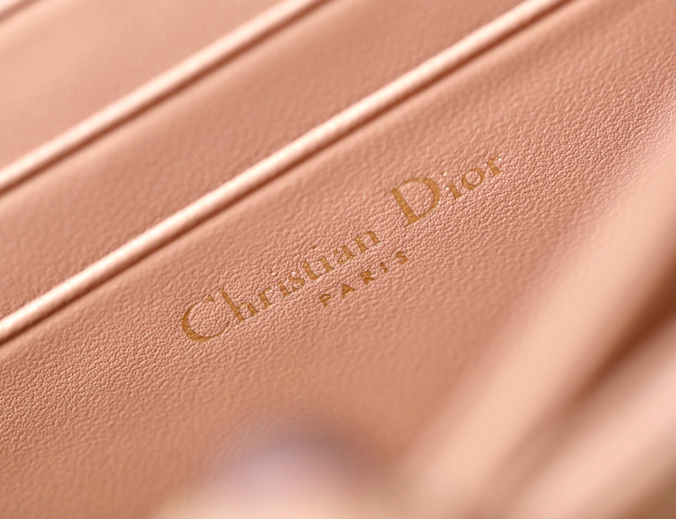 DIOR women's bags 130