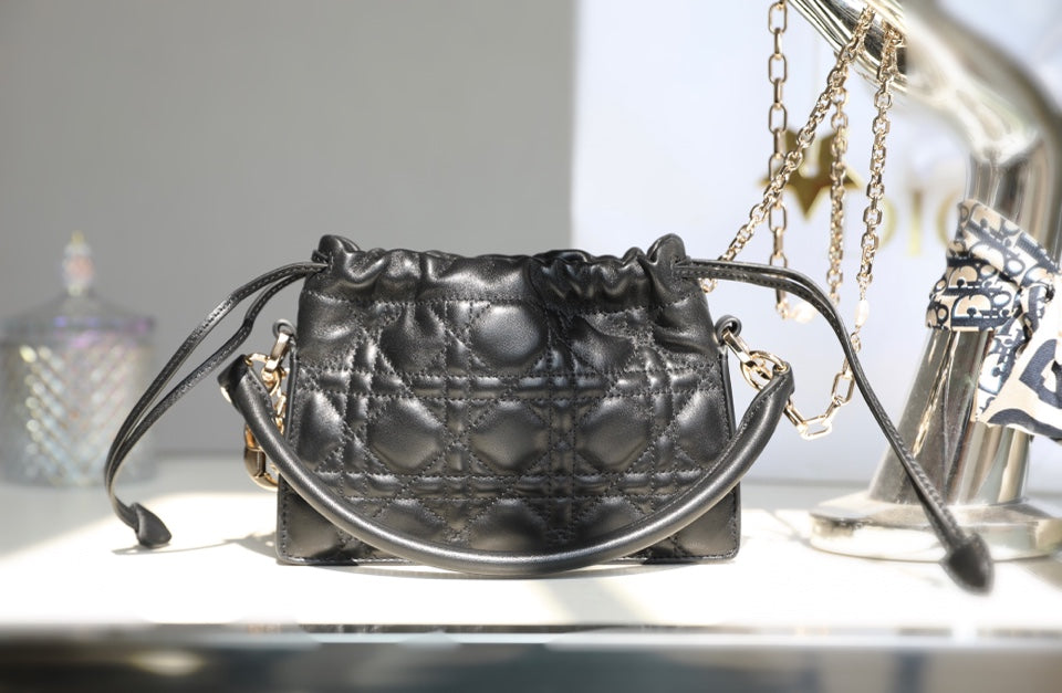 DIOR women's bags 131