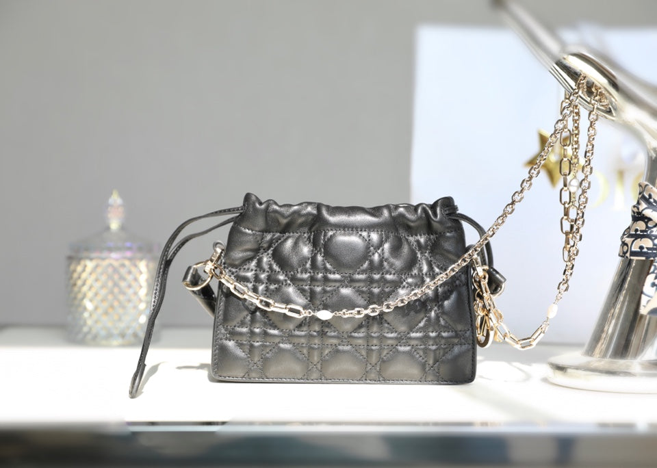 DIOR women's bags 131