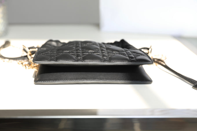 DIOR women's bags 131