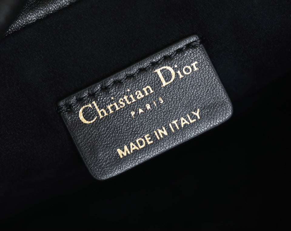 DIOR women's bags 131