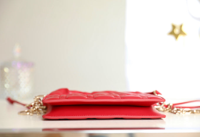 DIOR women's bags 132