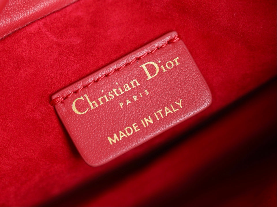 DIOR women's bags 132