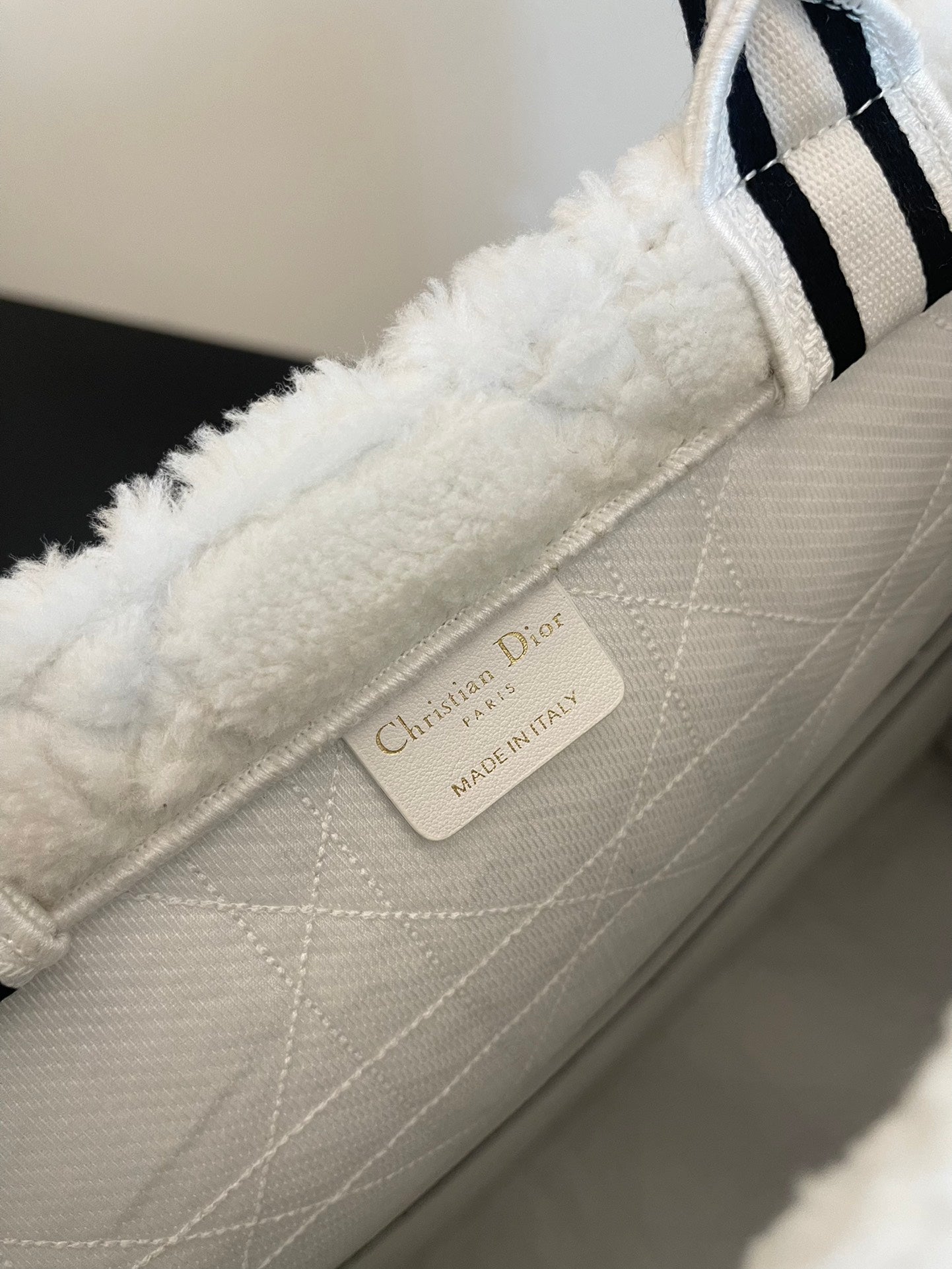 DIOR women's bags 139
