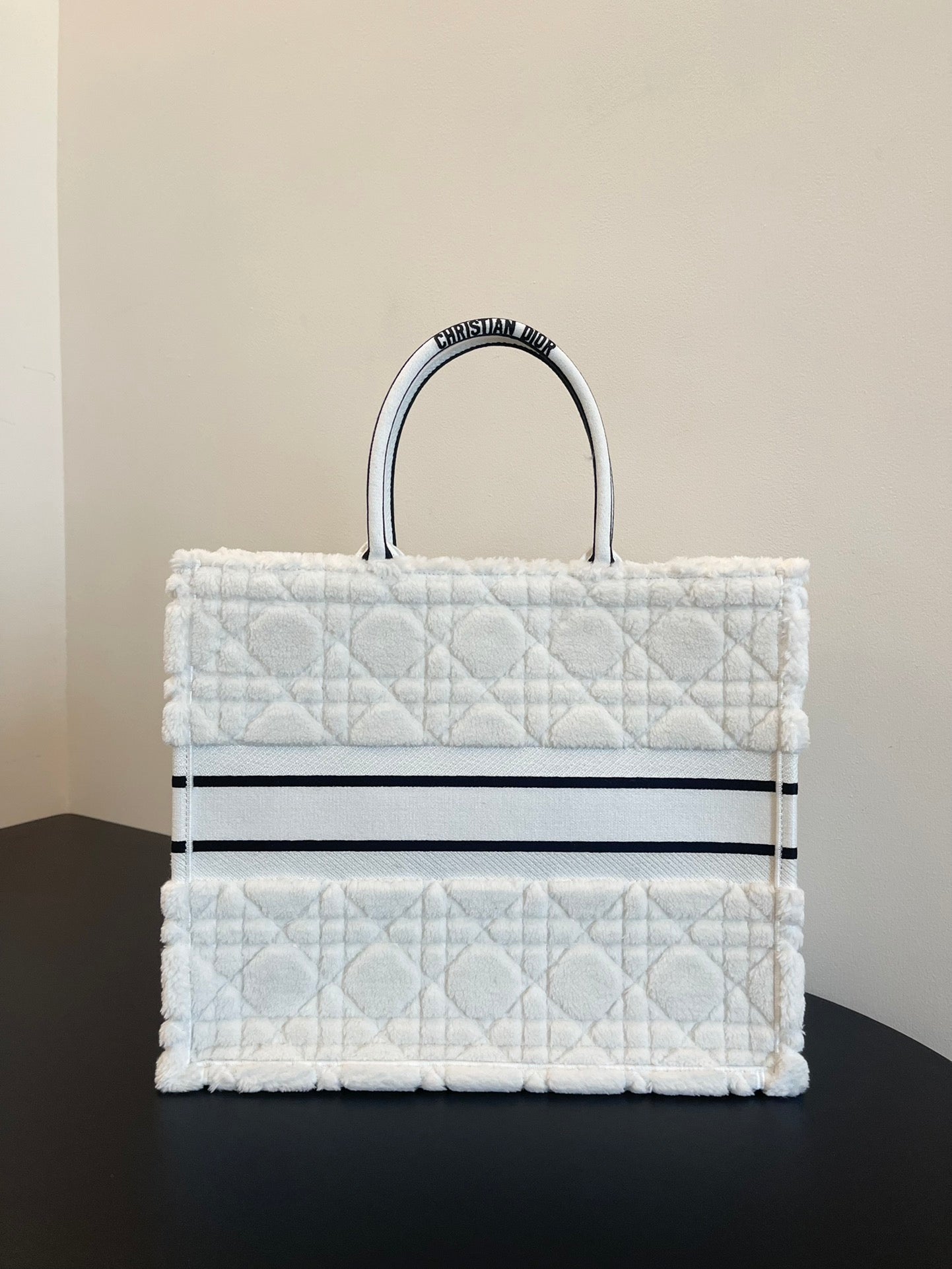 DIOR women's bags 139