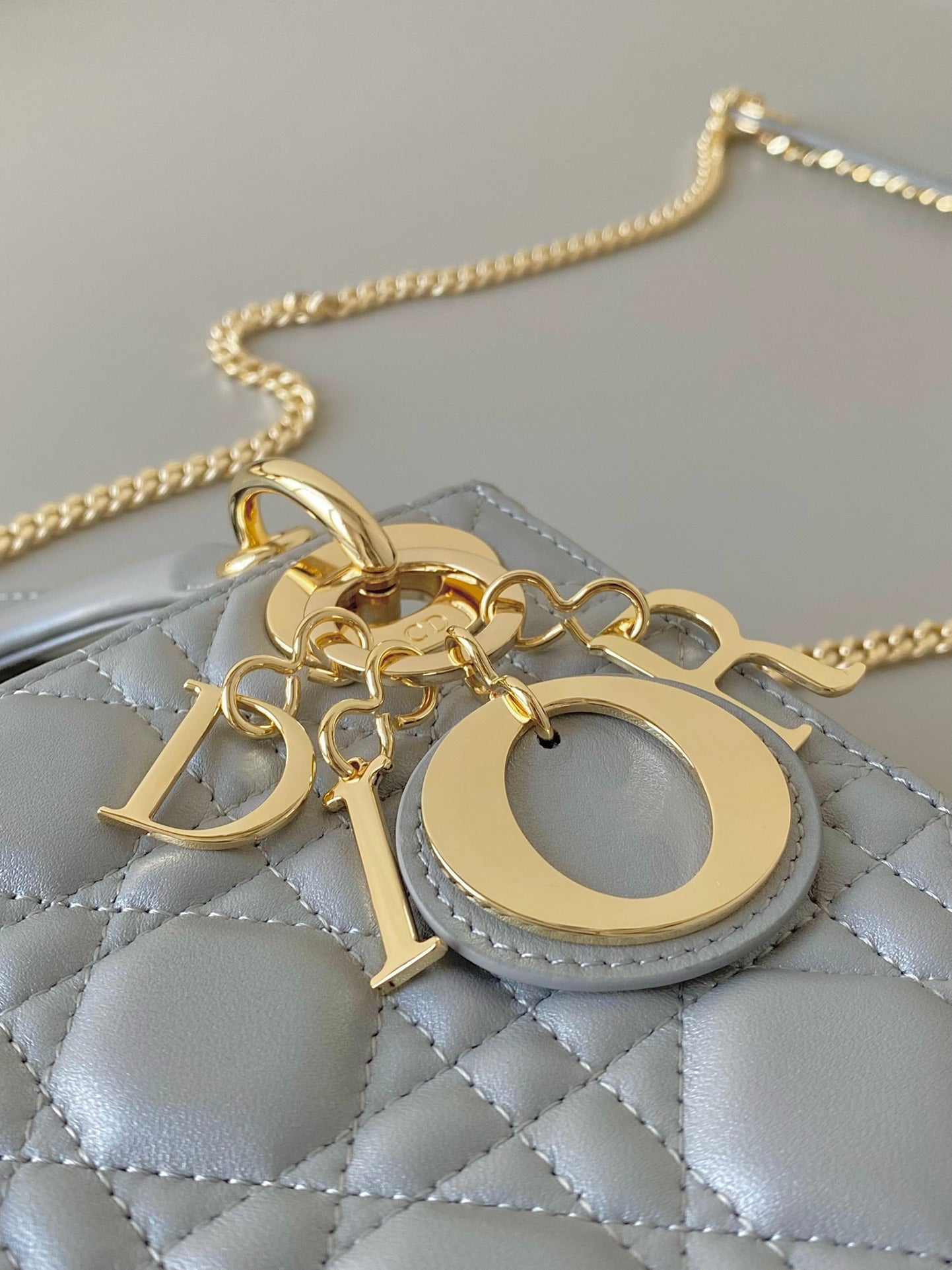 DIOR women's bags 144