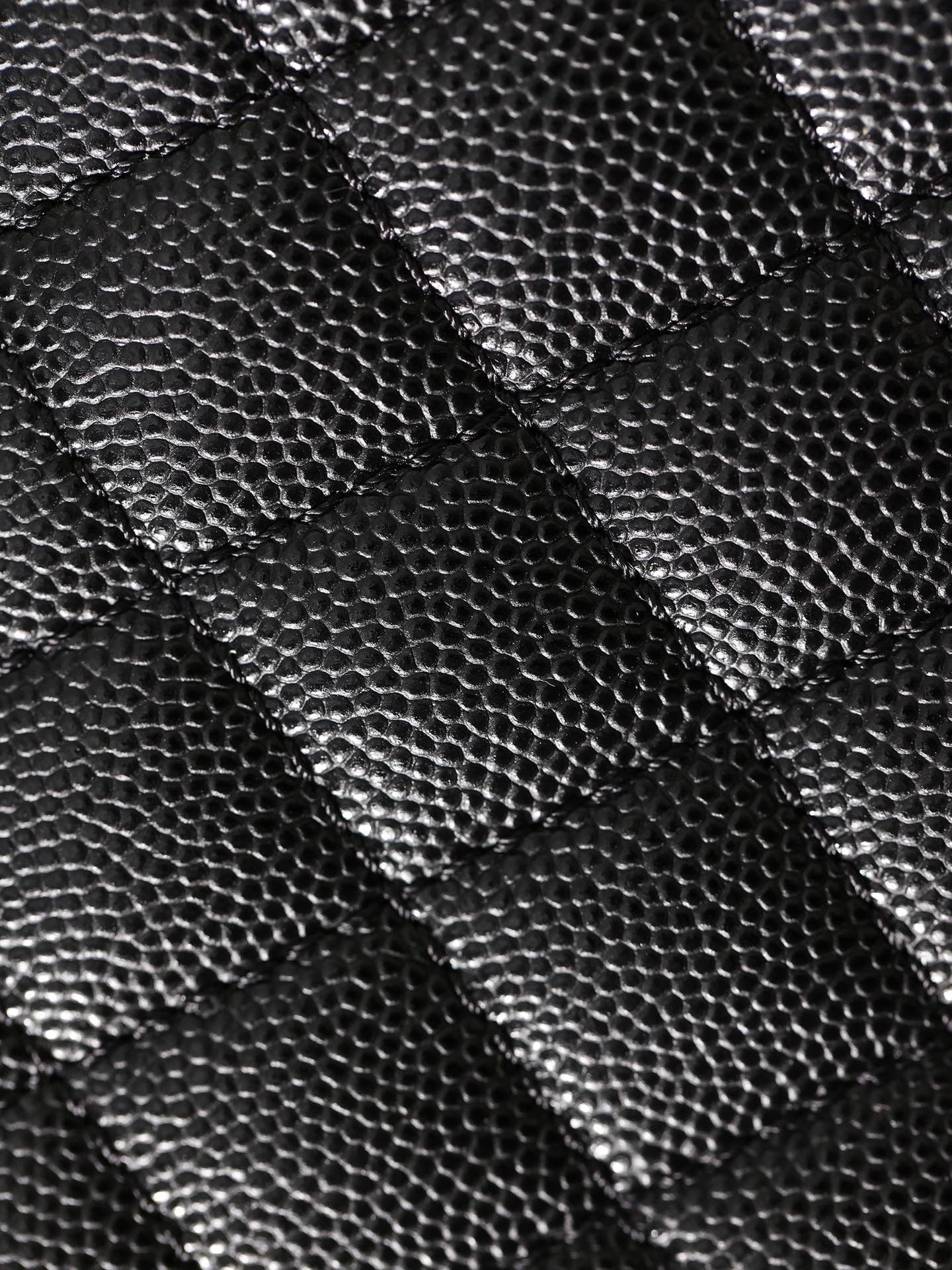 CHANEL WOMEN'S BAGS 10