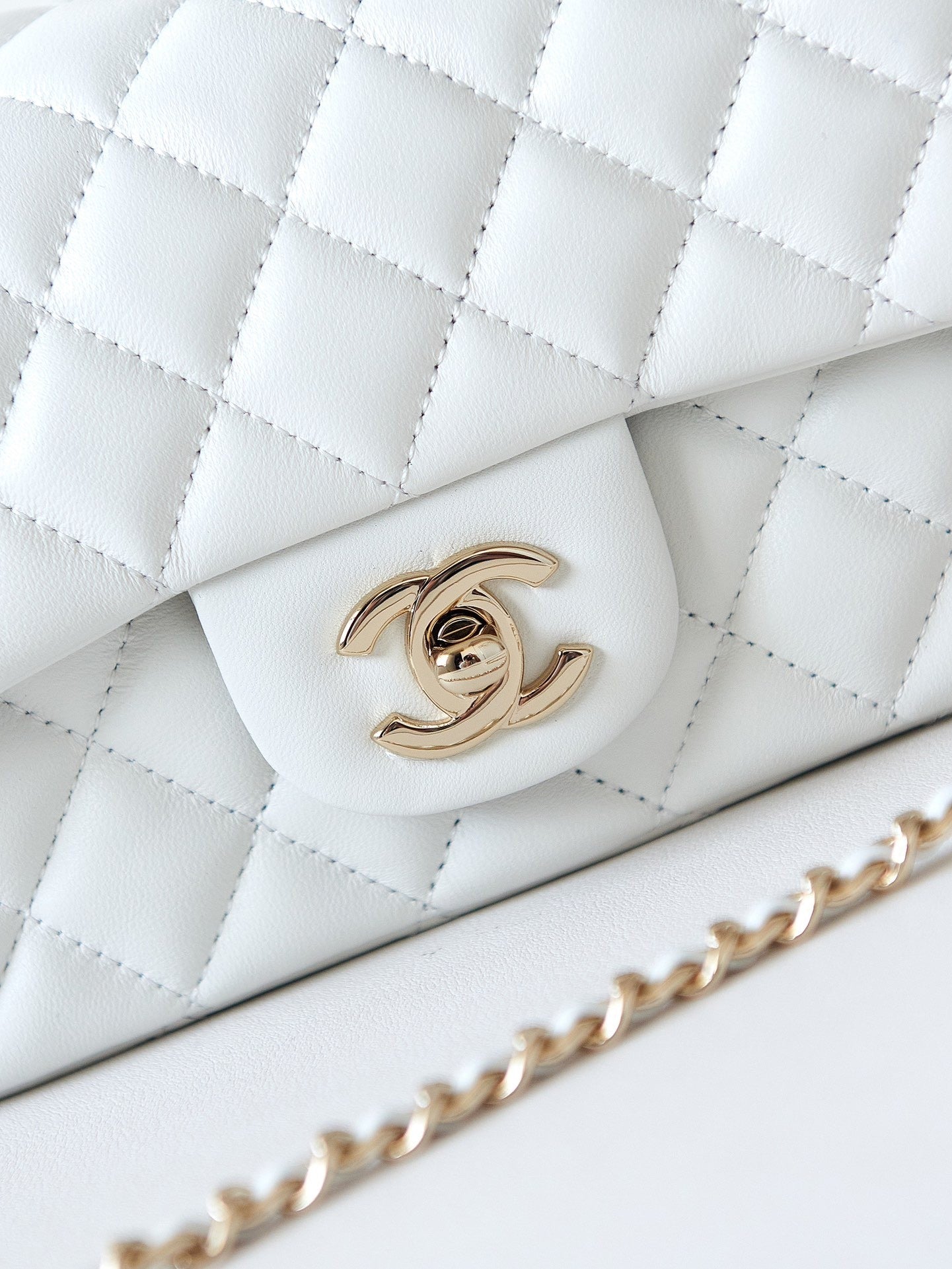 CHANEL women's bags 37