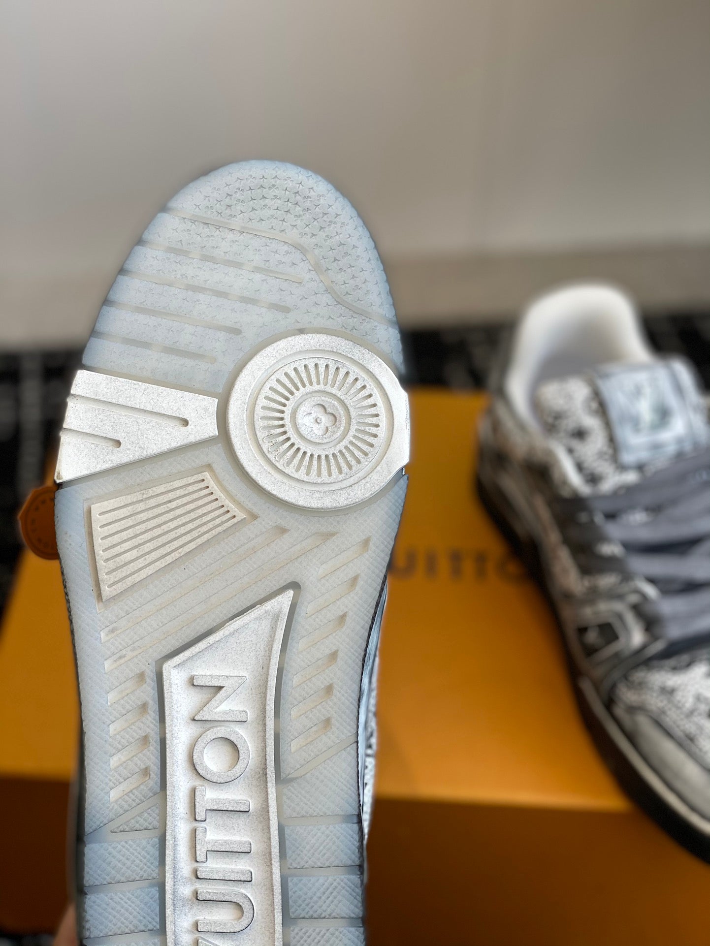 Louis Vuitton sneakers 76