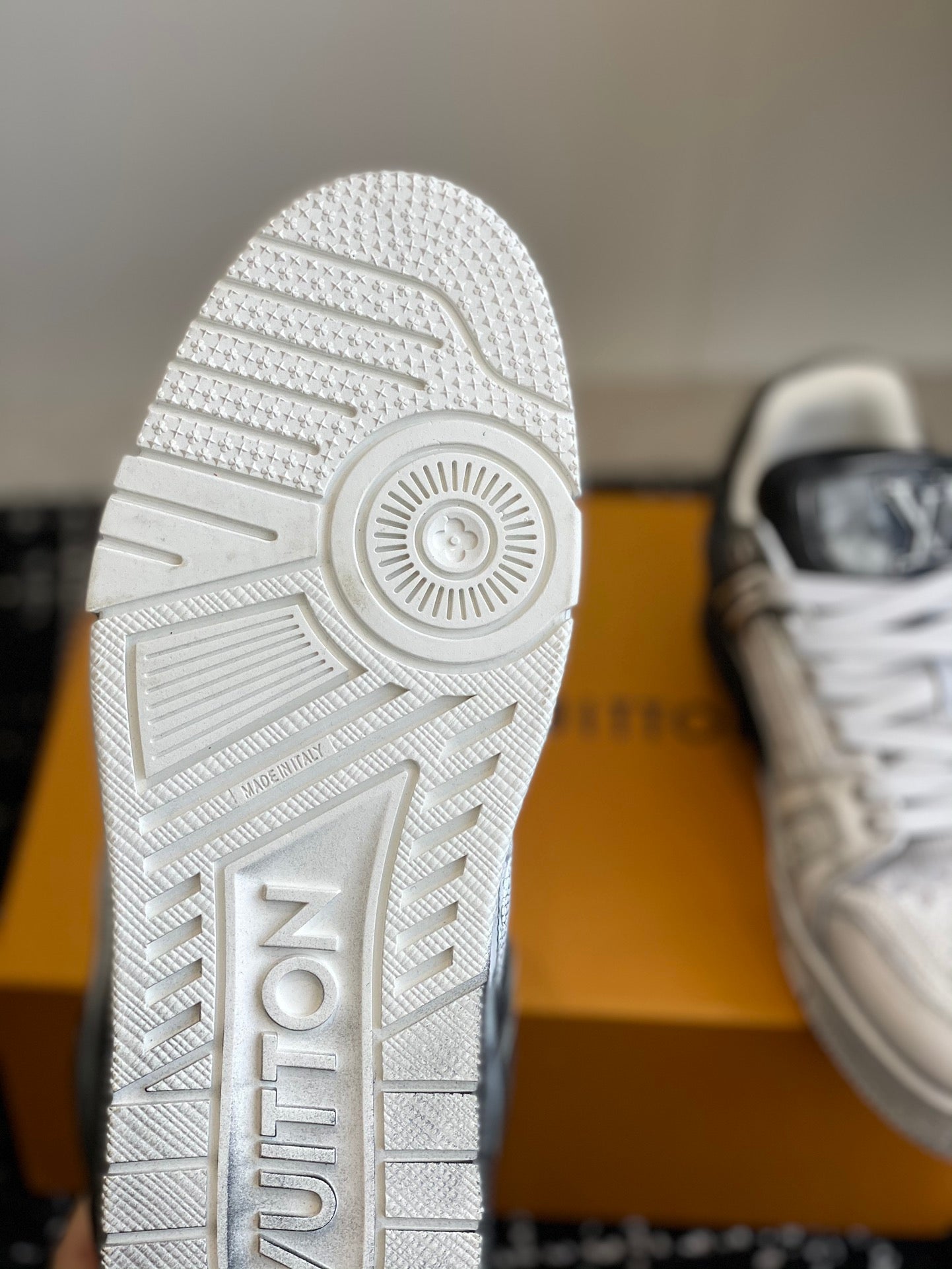 Louis Vuitton sneakers 81