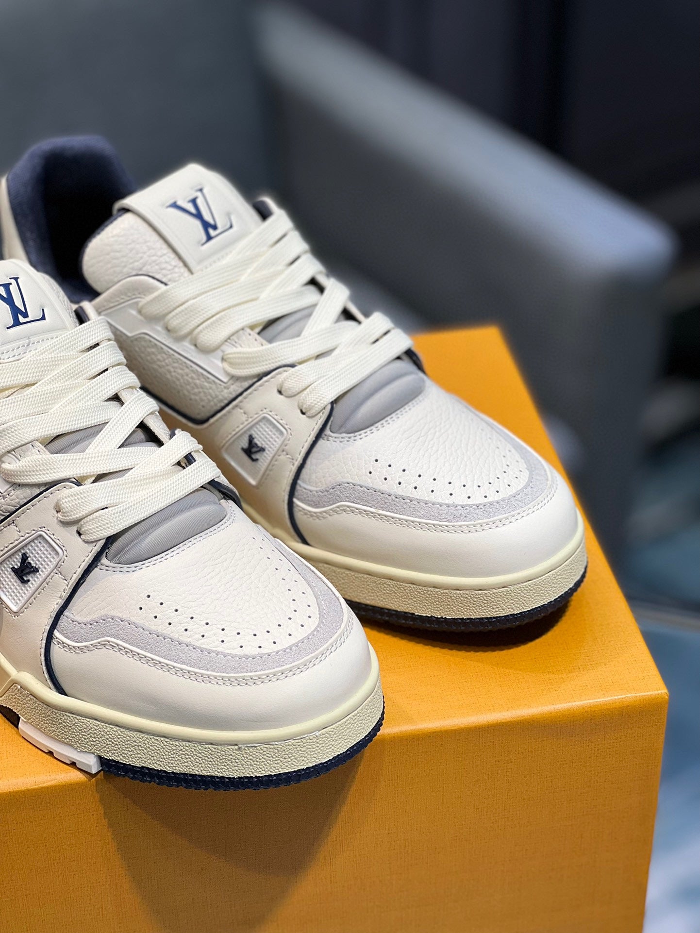 Louis Vuitton sneakers 104
