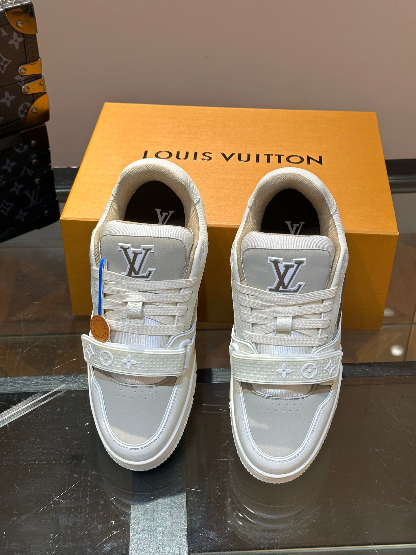 Louis Vuitton sneakers 224