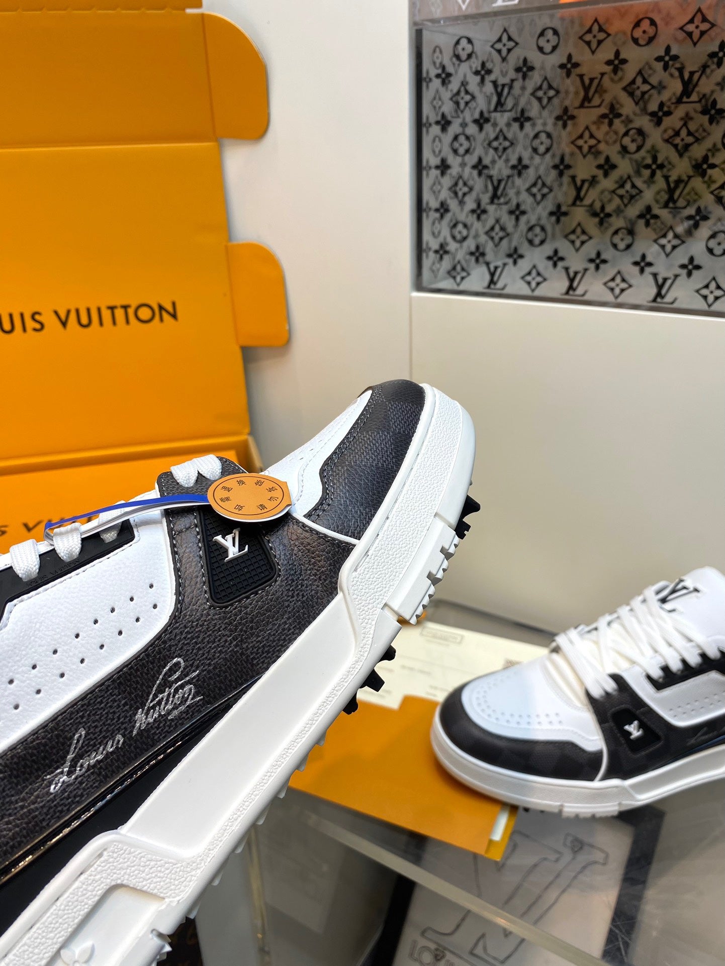 Louis Vuitton sneakers 231