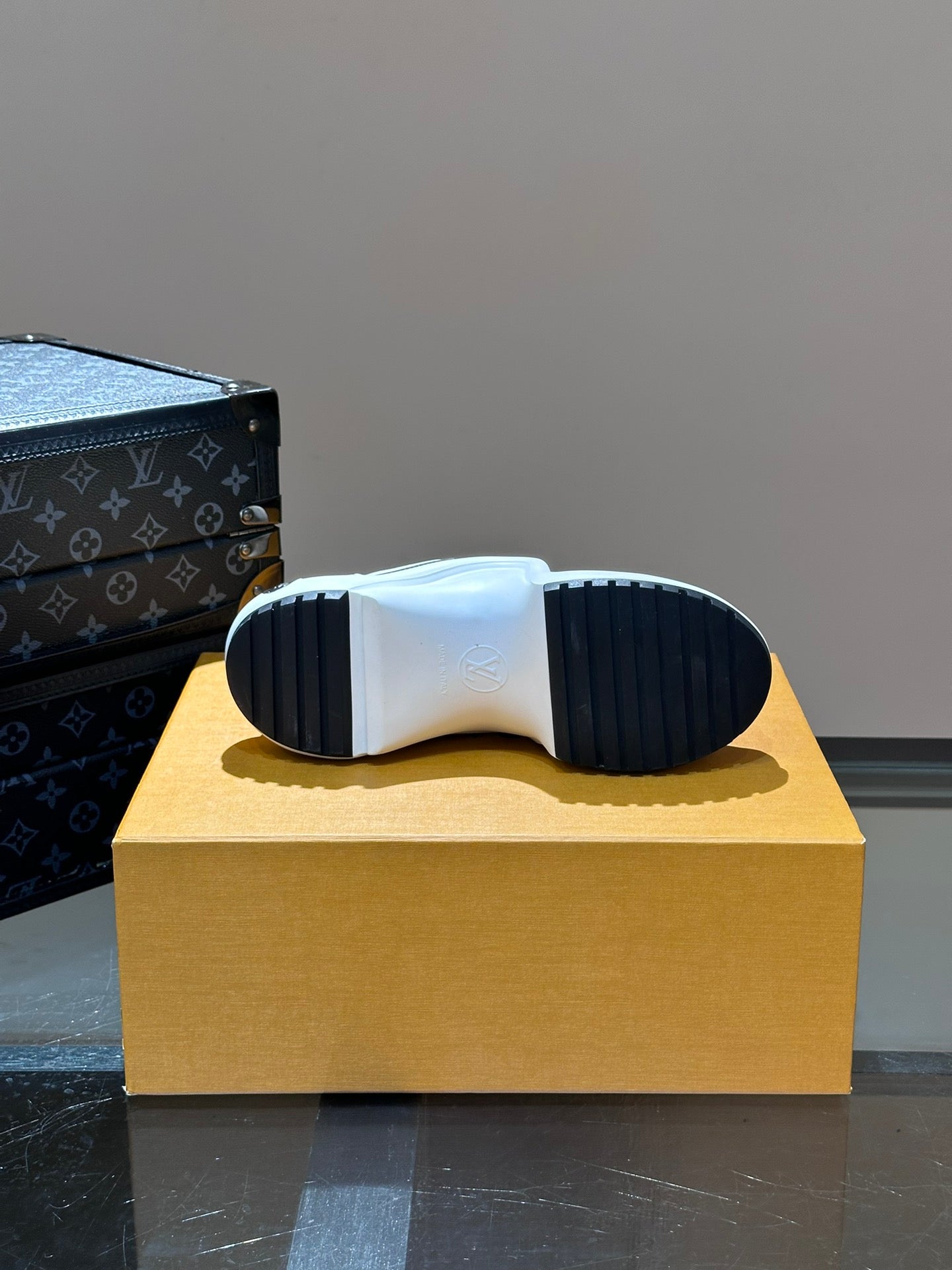 Louis Vuitton sneakers 251