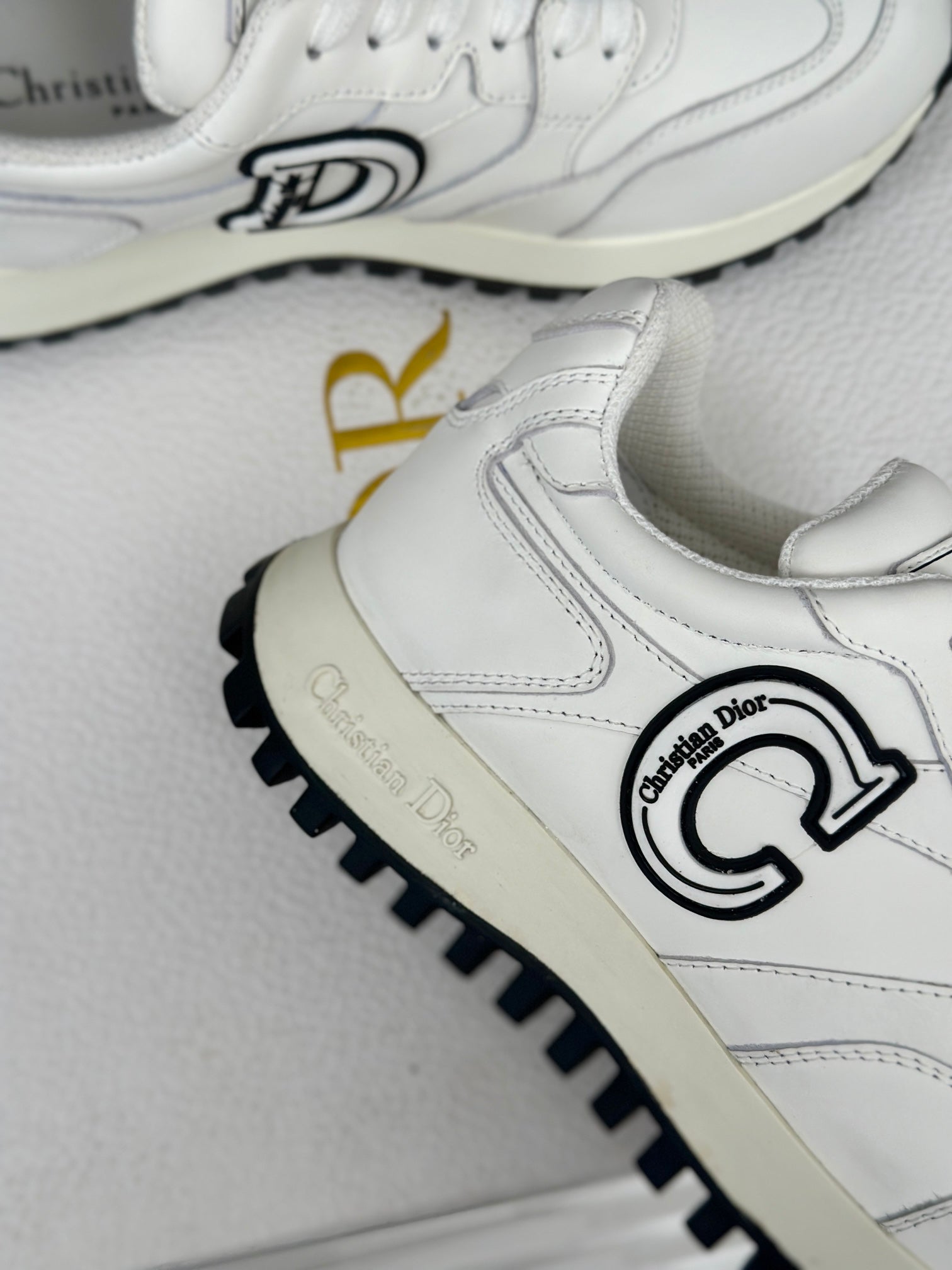 DIOR sneakers 101