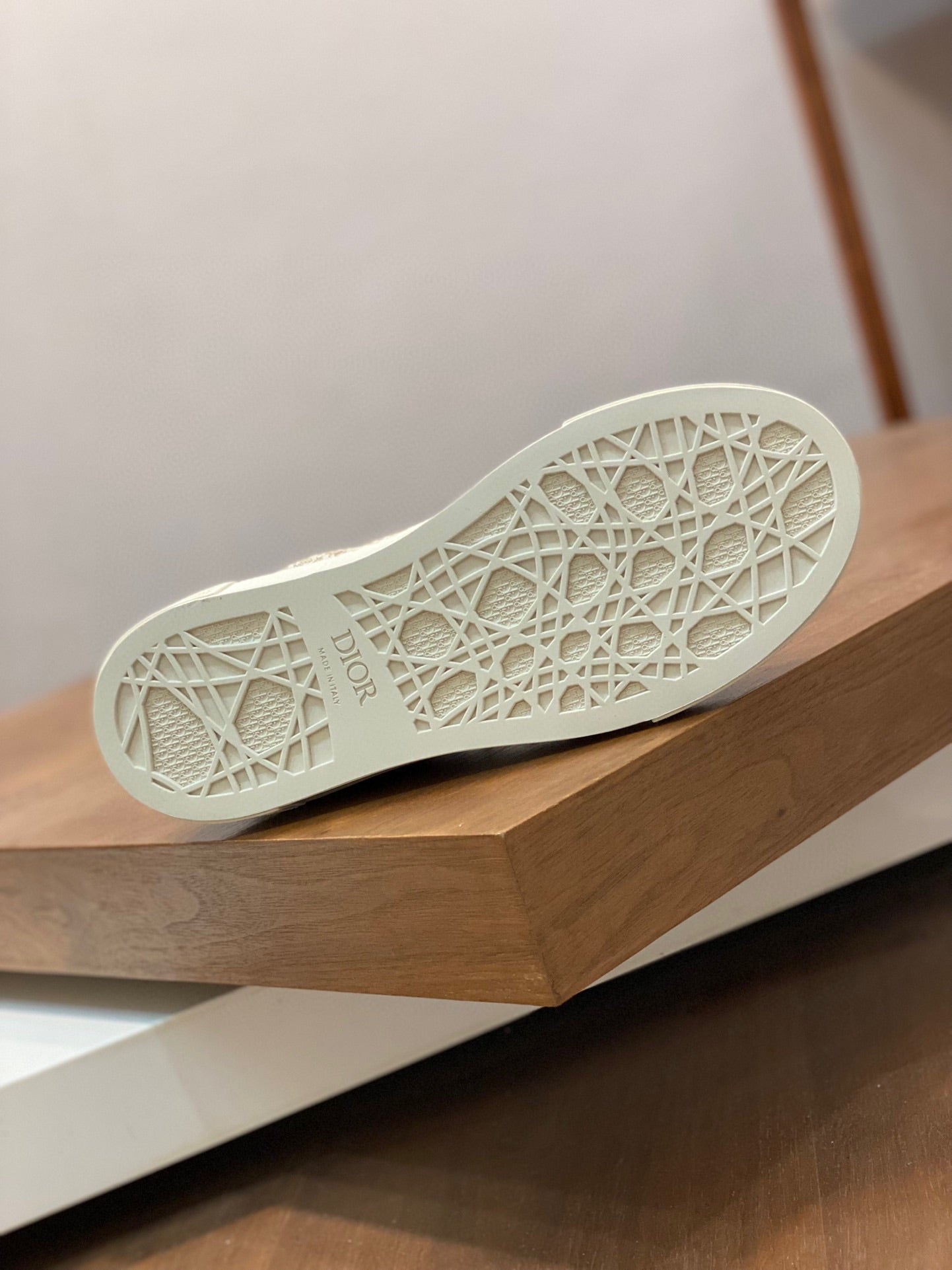 DIOR sneakers 103