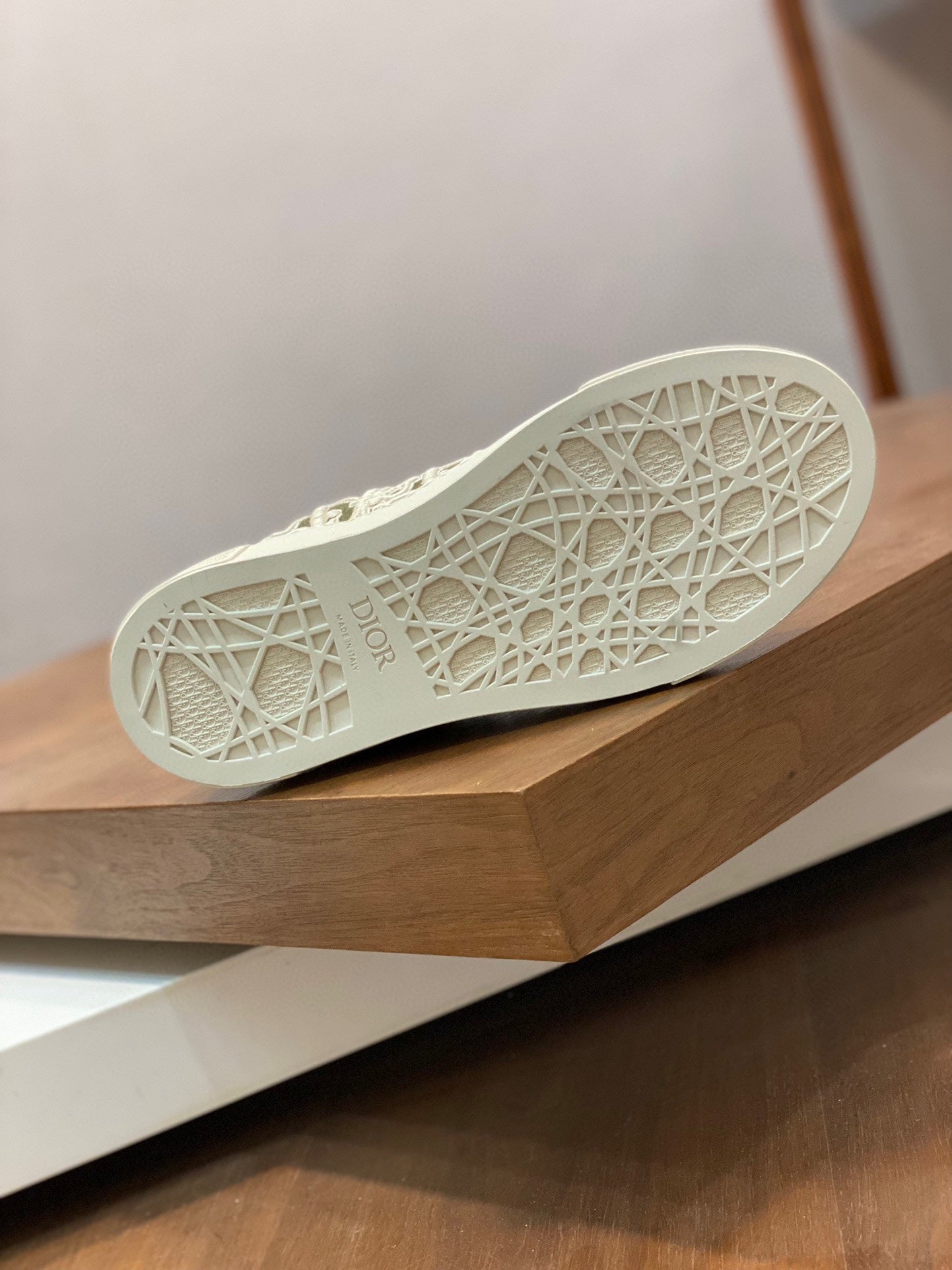 DIOR sneakers 109