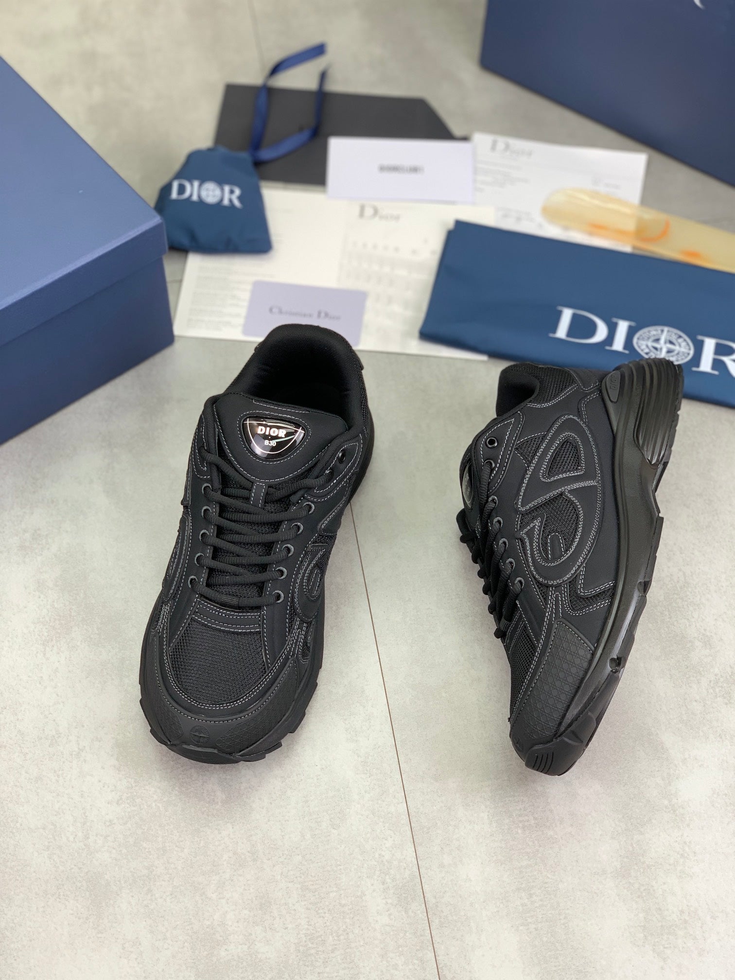 DIOR sneakers 113
