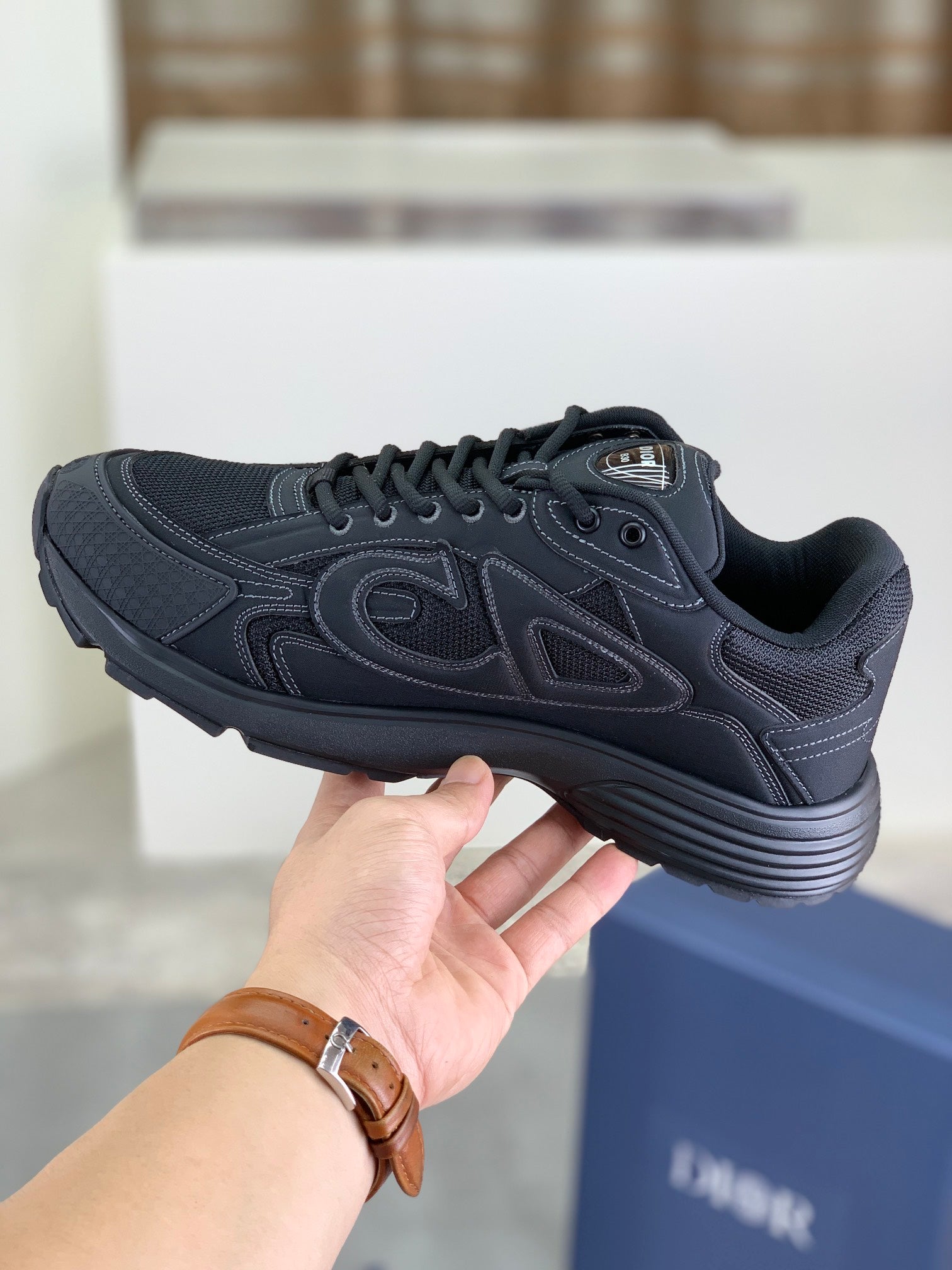 DIOR sneakers 113