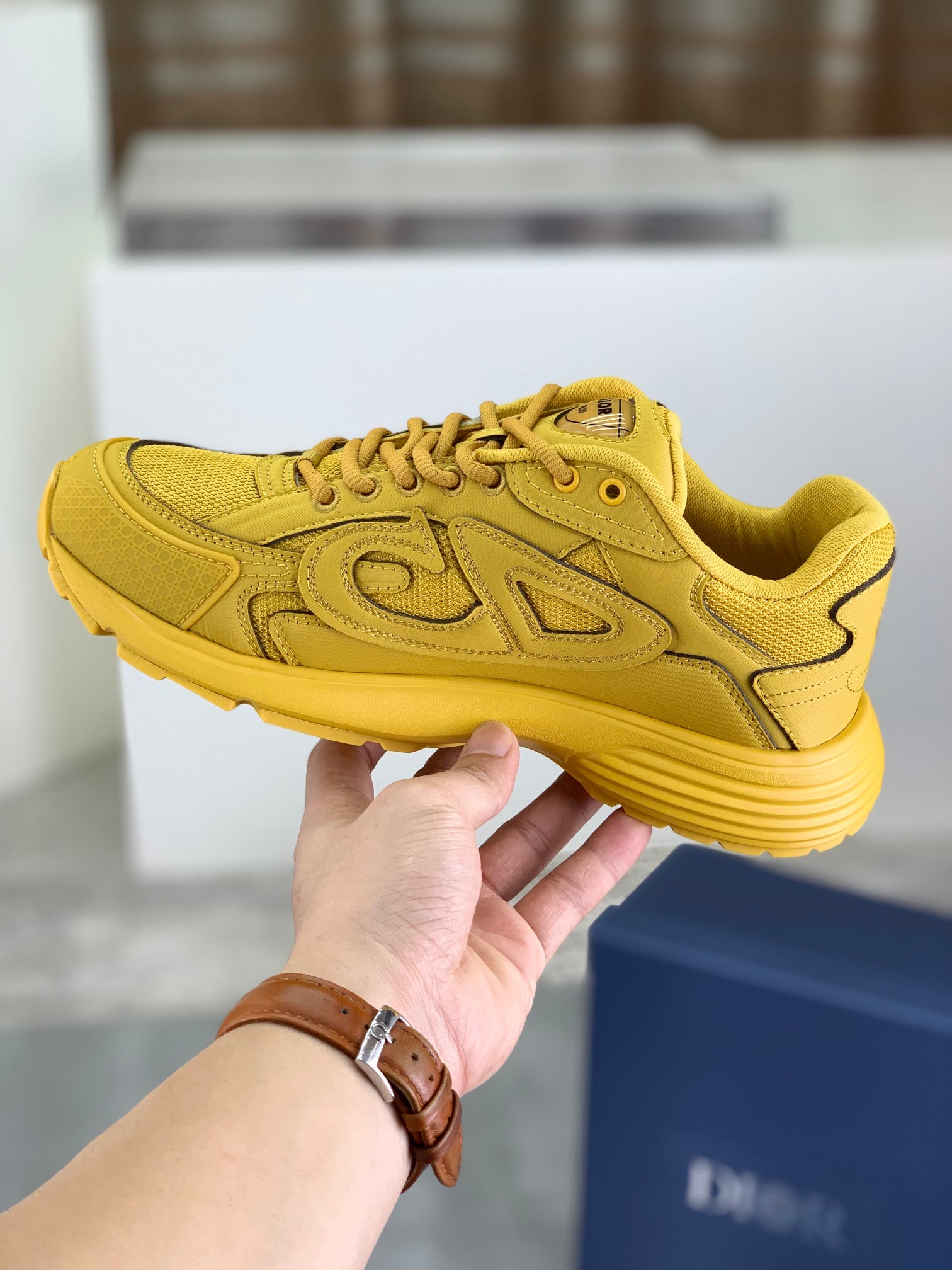 DIOR sneakers 117