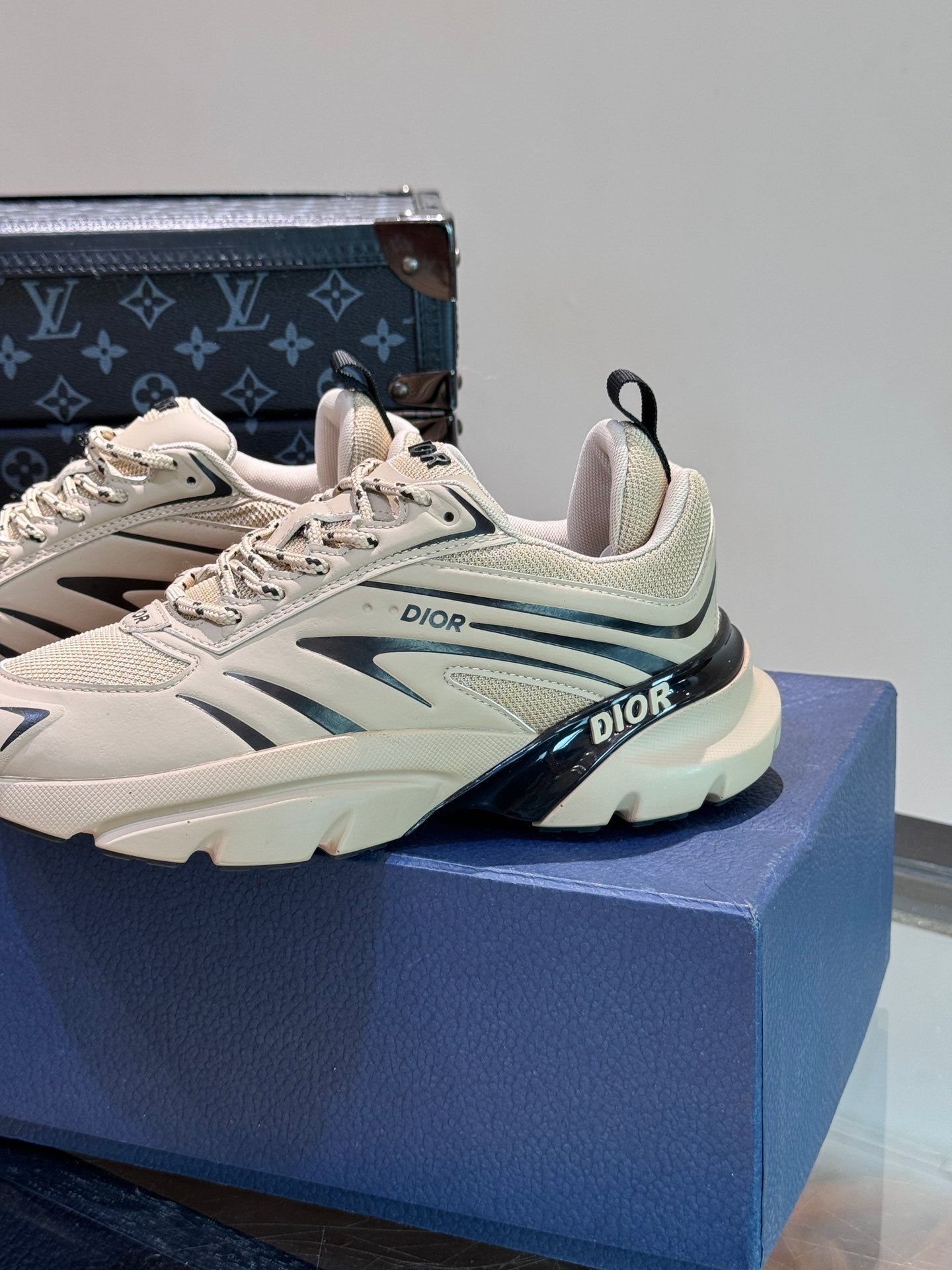 DIOR sneakers 145