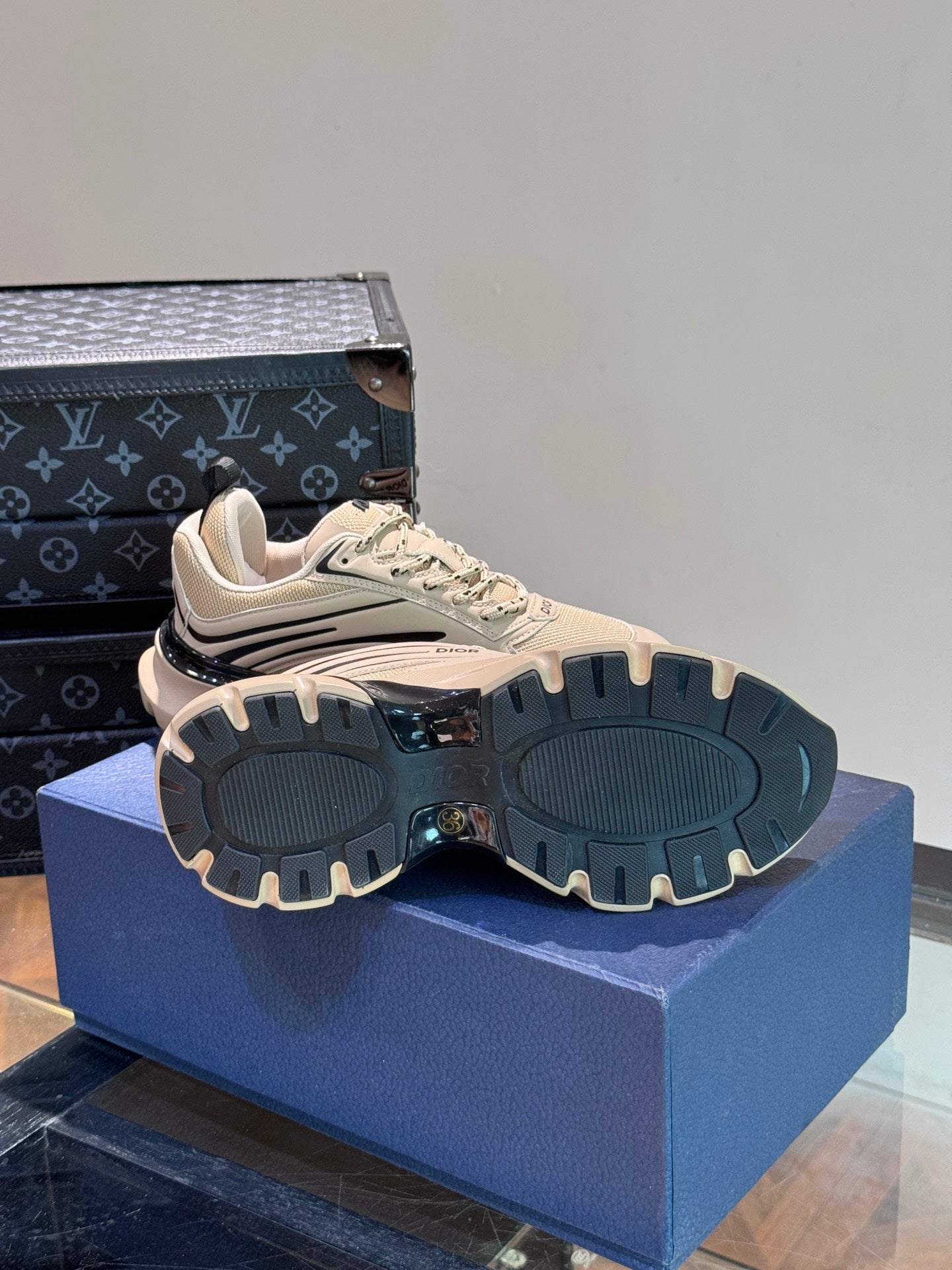 DIOR sneakers 145