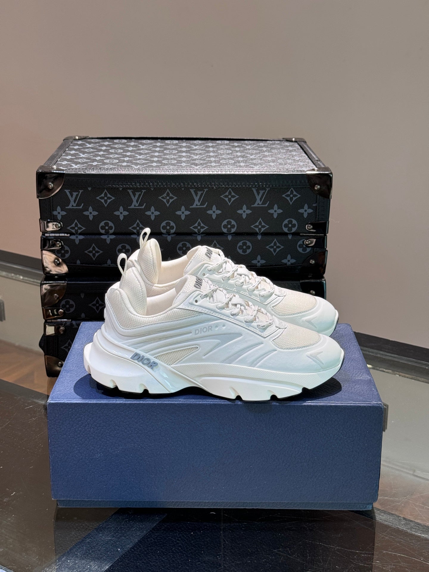 DIOR sneakers 146