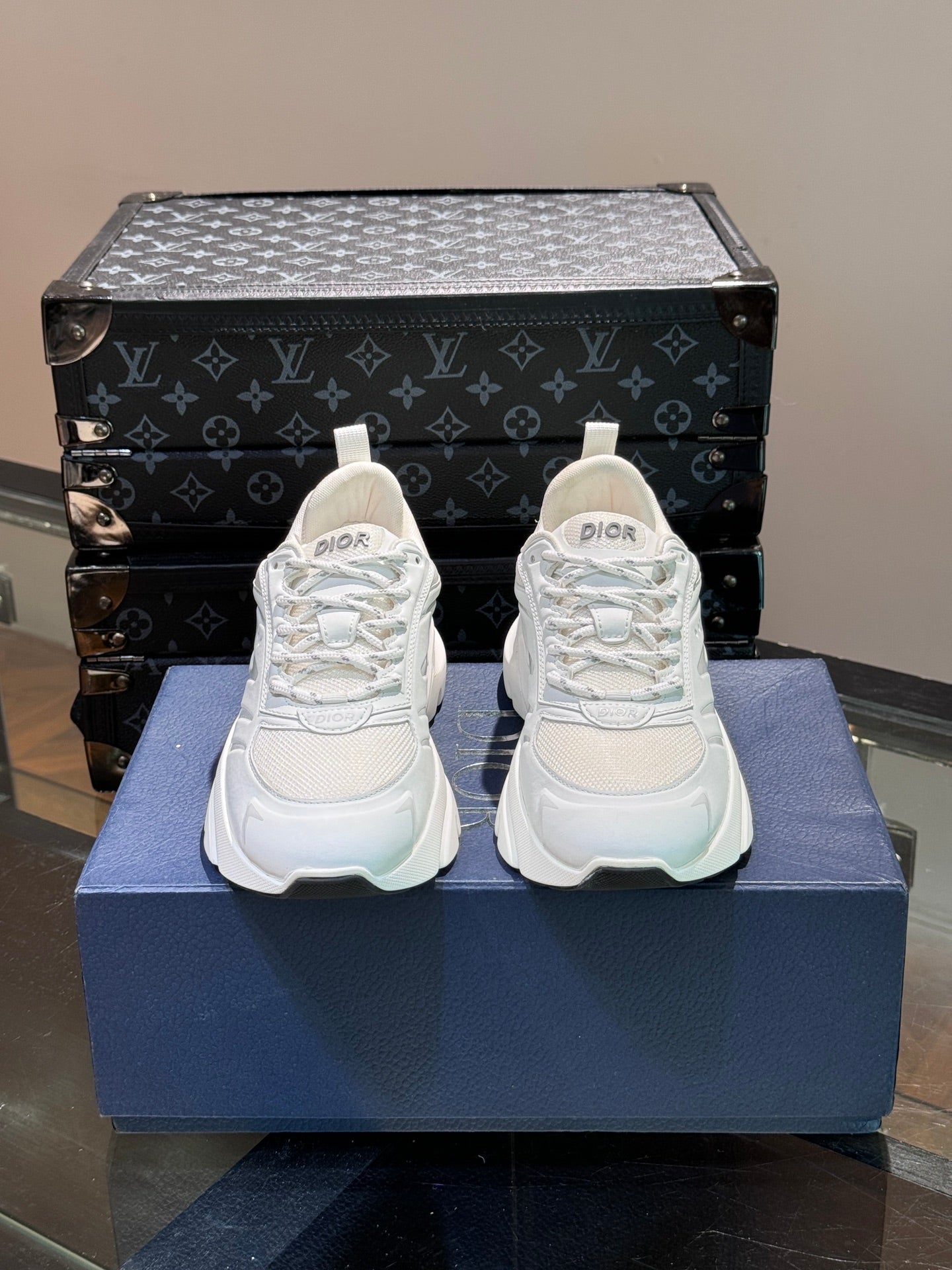 DIOR sneakers 146