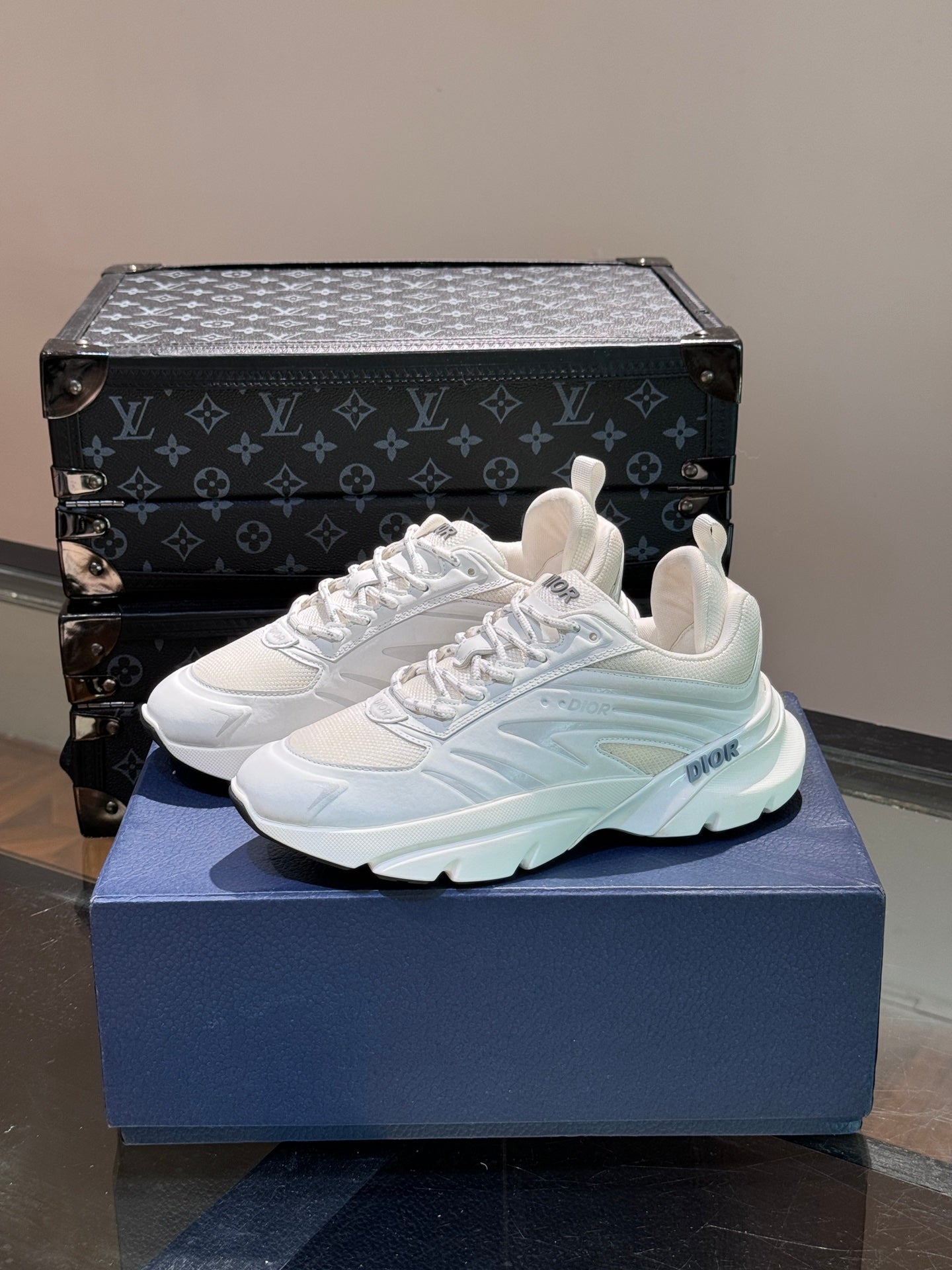 DIOR sneakers 146