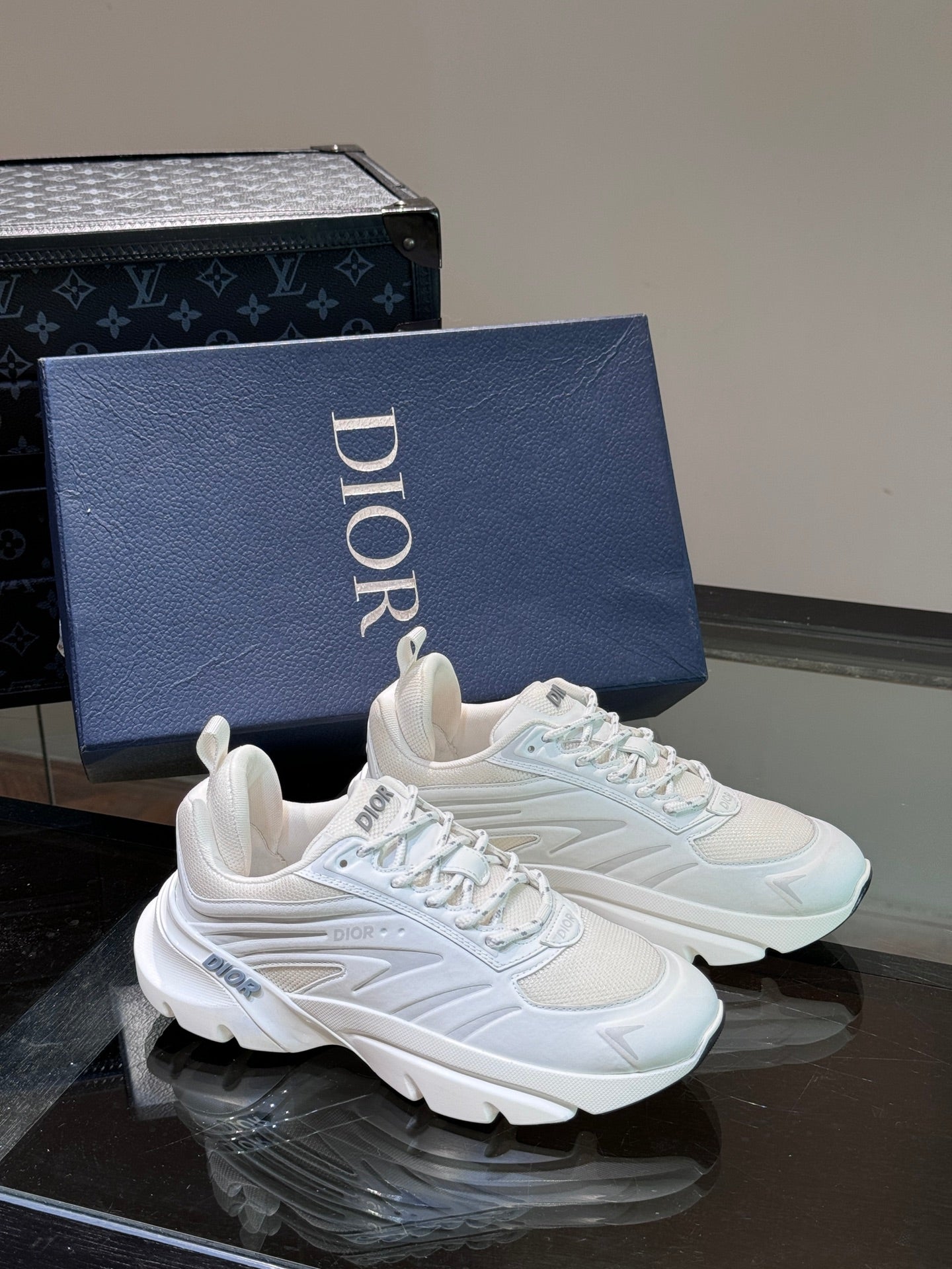 DIOR sneakers 146